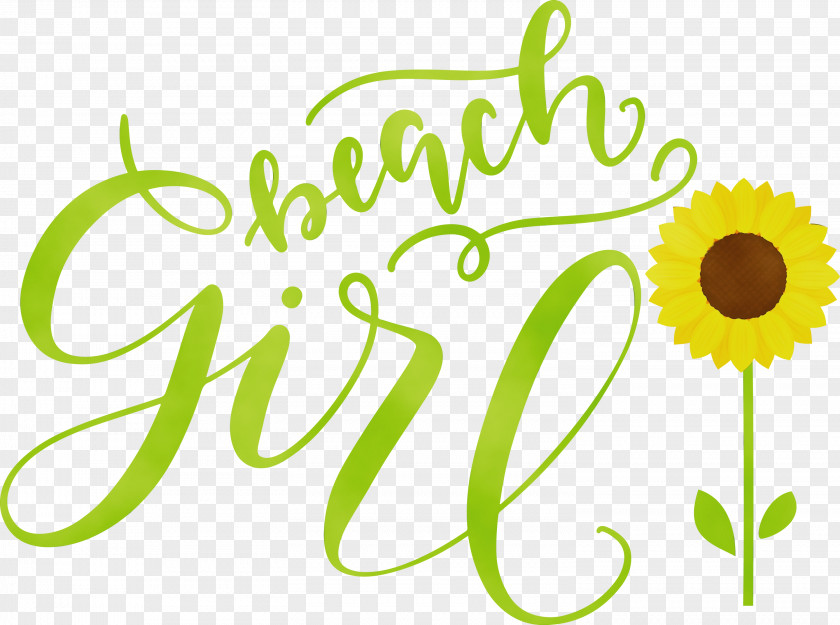 Floral Design PNG