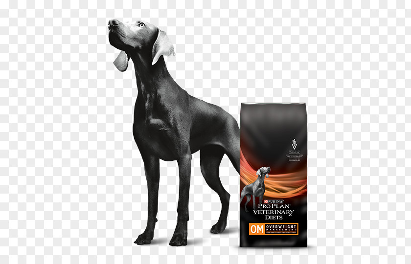 Health Weimaraner Nestlé Purina PetCare Company Dog Food Breed Veterinarian PNG