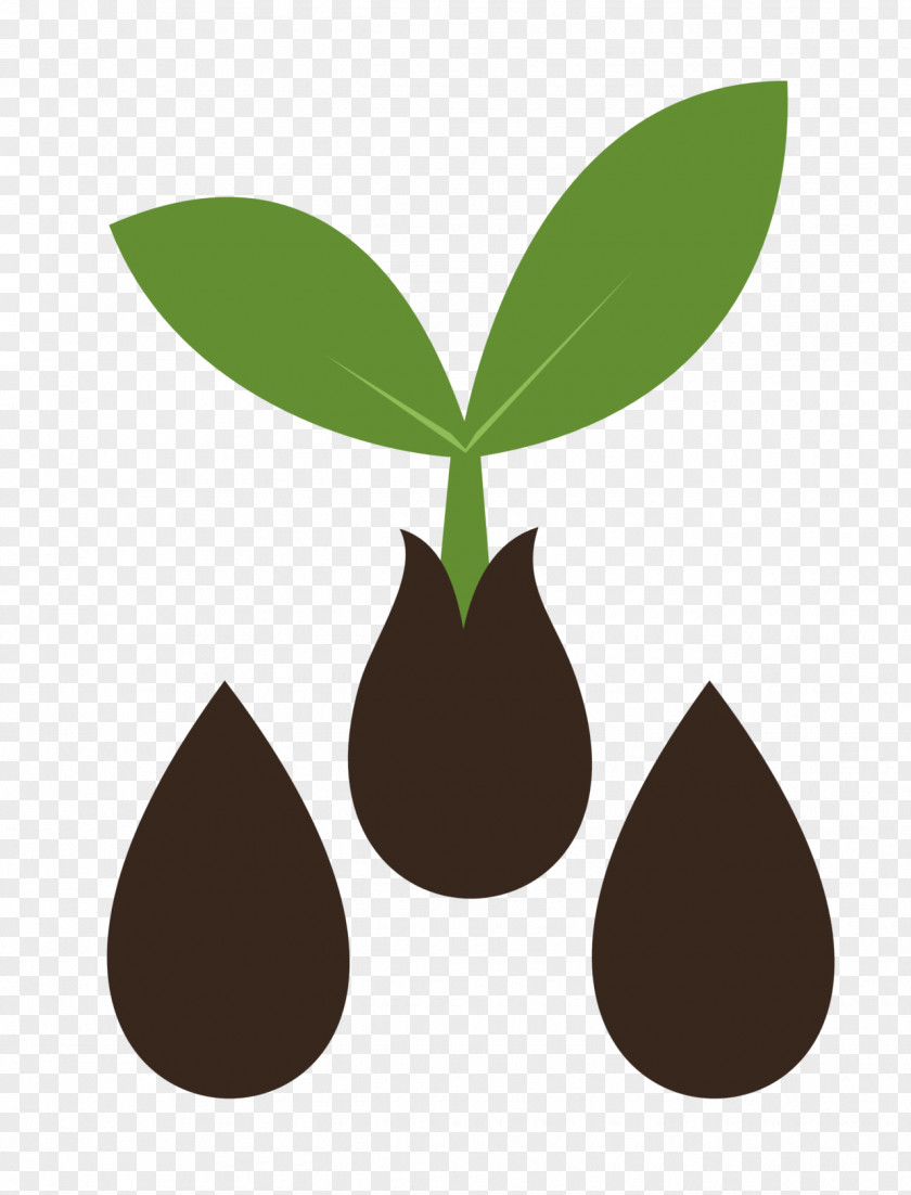 Seed Sprouting Cutie Mark Crusaders DeviantArt Clip Art PNG