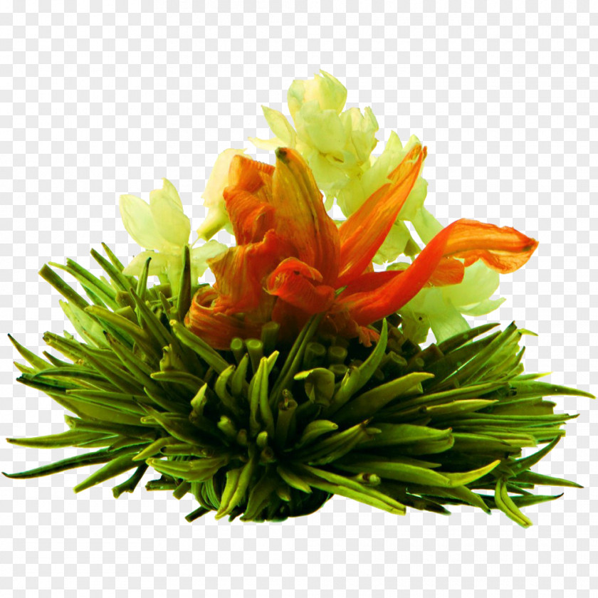 Tea Flowering Green Oolong Sencha PNG