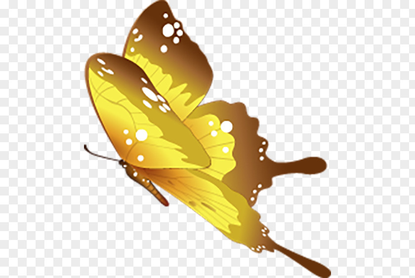 Beautiful Butterfly Decoration Fly Motif PNG