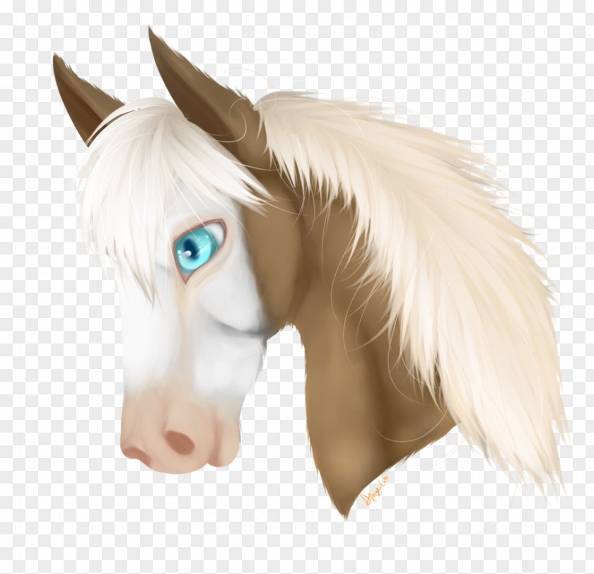 Girly Horse Head Cake Mustang Snout Figurine Eye Ear PNG