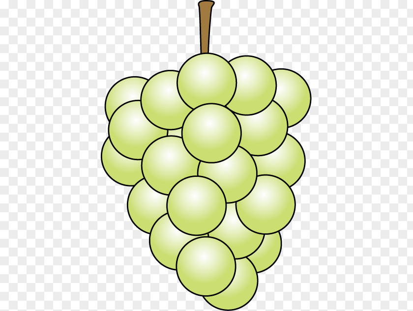 Grape Clip Art Food Illustration Fruit PNG