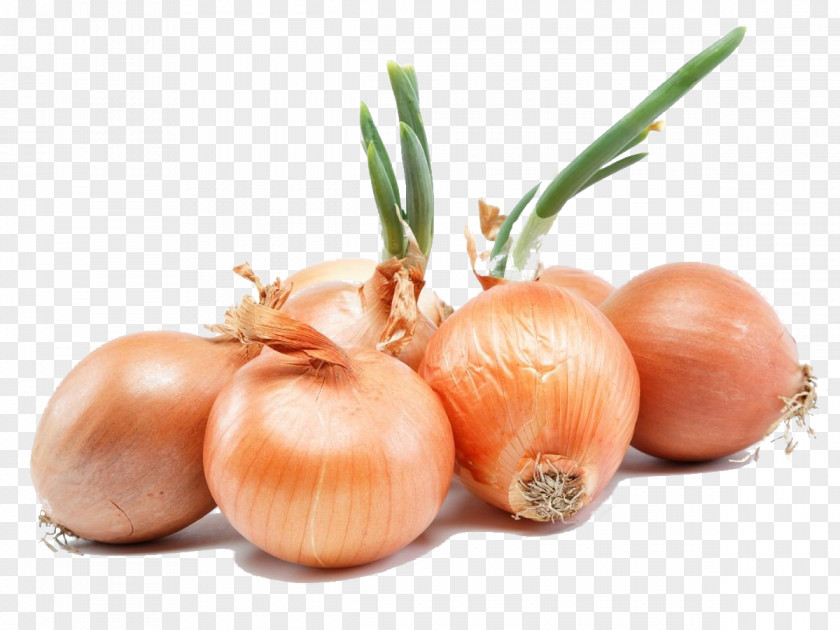Onion Health Urdu Nutrition Food PNG