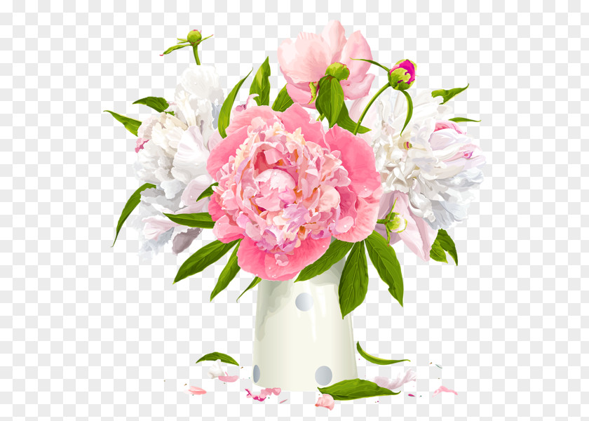 Peony Clip Art PNG