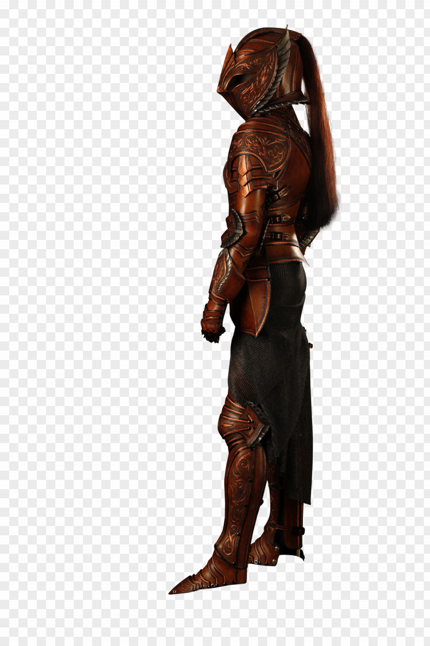 Phoenix Armour If(we) Leather Character PNG
