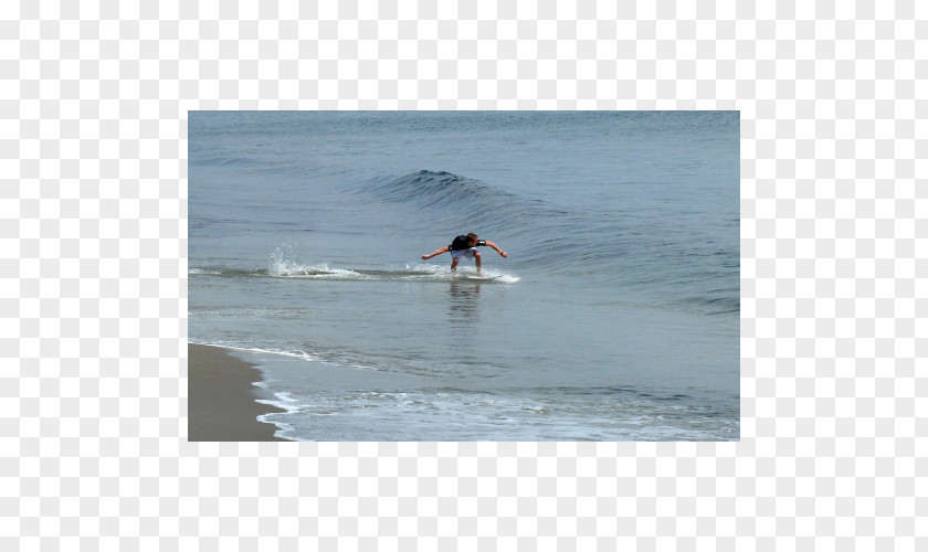 Surfing 09738 Surfboard Shore Ocean PNG