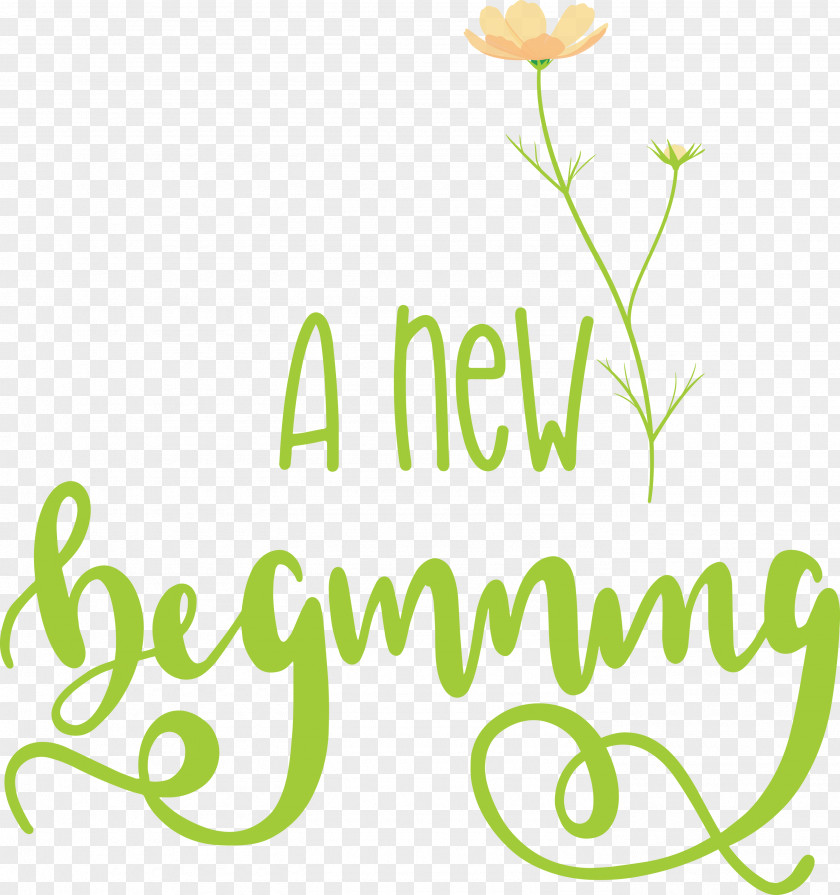 A New Beginning PNG