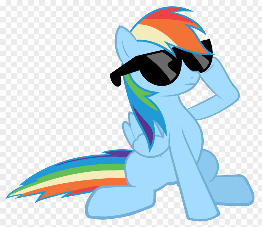 Deal With It Rainbow Dash Rarity Sunglasses PNG