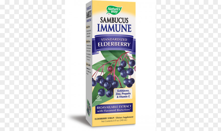 Elder Dietary Supplement Extract Berry Shrub PNG