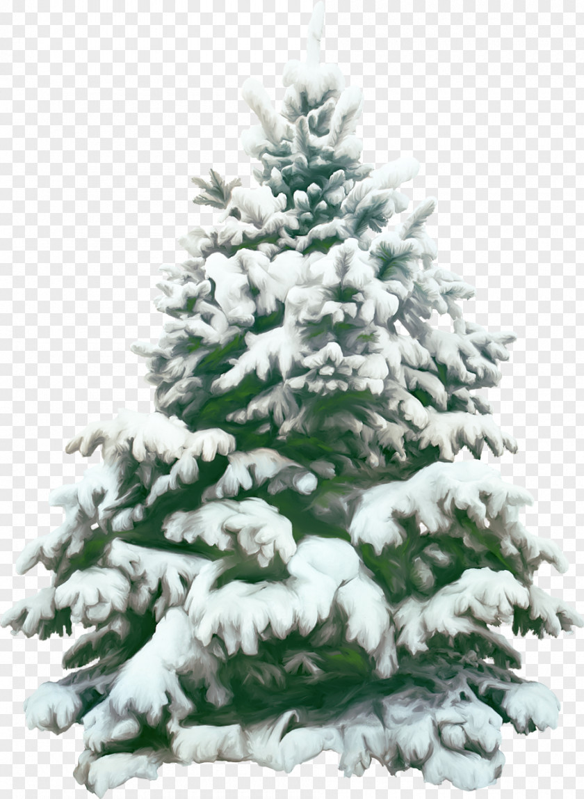 Fir-tree Christmas Tree Pine Clip Art PNG
