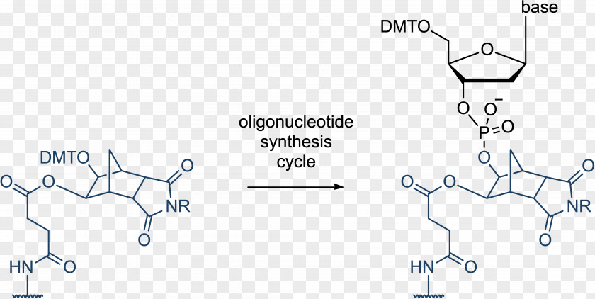 Fraction Oligonucleotide Synthesis Solid-phase Chemical Chemistry PNG