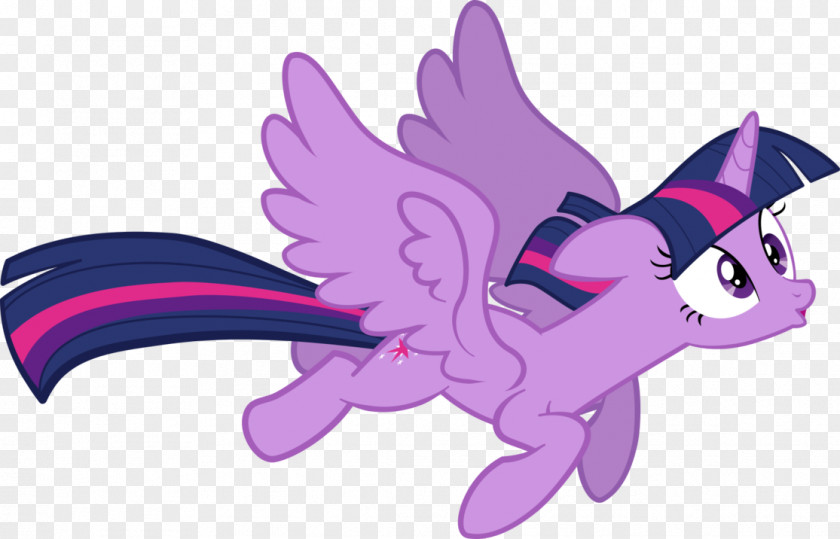 My Little Pony Twilight Sparkle Rainbow Dash Princess Cadance PNG