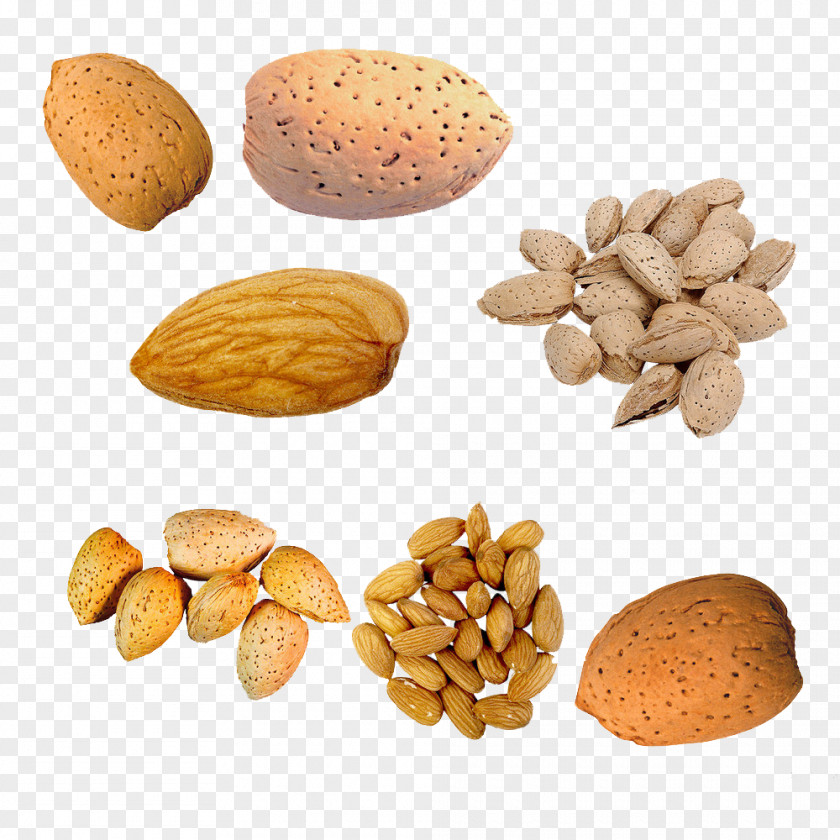 Nut U041cu0438u043du0434u0430u043bu044c Almond PNG u041cu0438u043du0434u0430u043bu044c , Peach and almond nuts clipart PNG