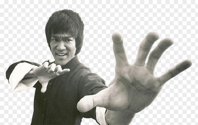 The Fighter Clip ArtBruce Lee Bruce PNG