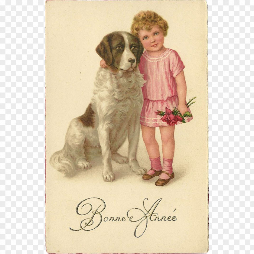 Vintage Postcard Pomeranian St. Bernard Puppy New Year Post Cards PNG