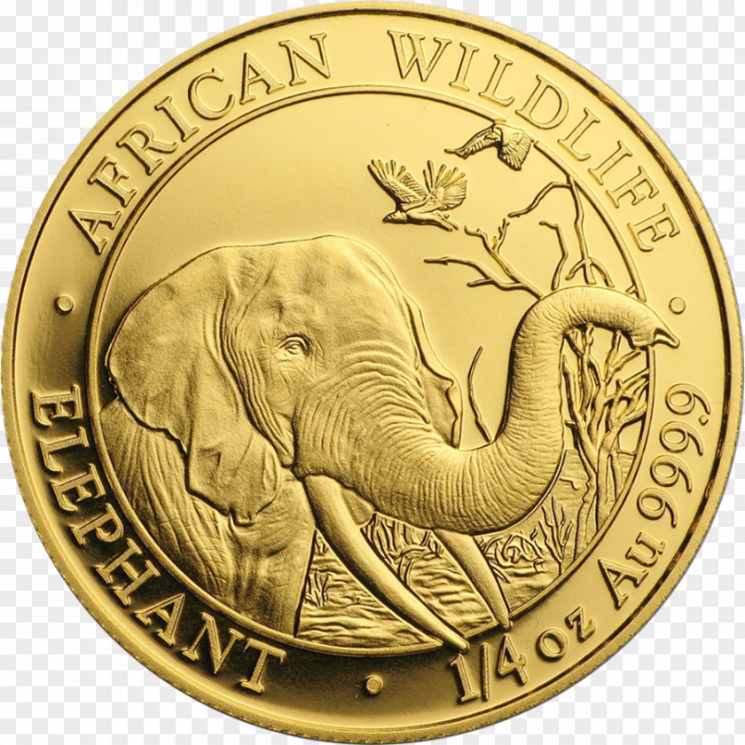 Coin Gold Perth Mint Indian Elephant PNG