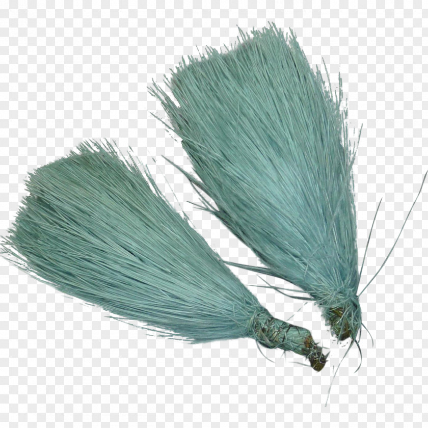 Feather Grasses Brush Family PNG