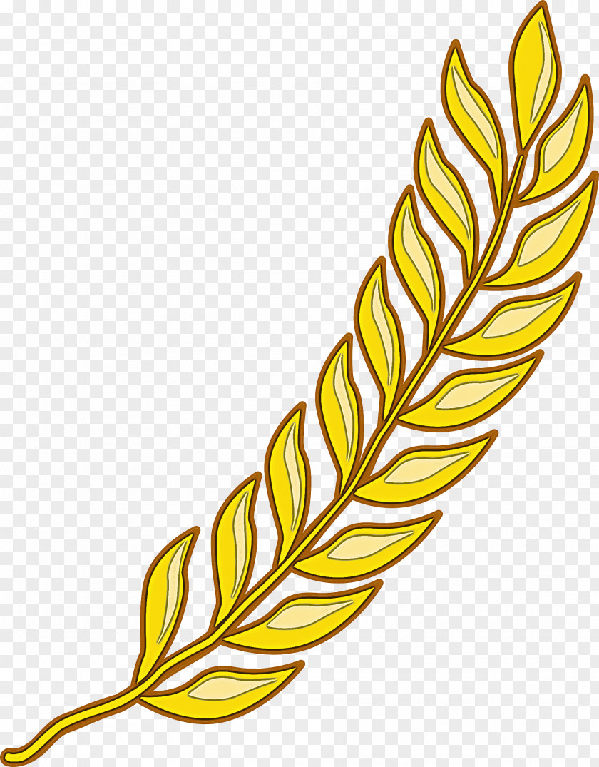 Feather PNG