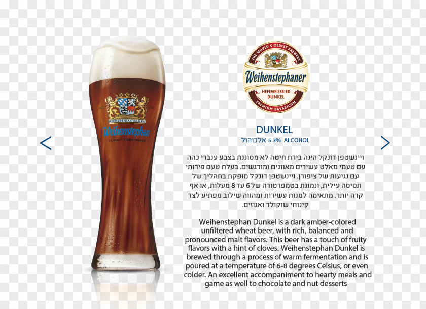 Glass Wheat Beer Glasses Pint PNG