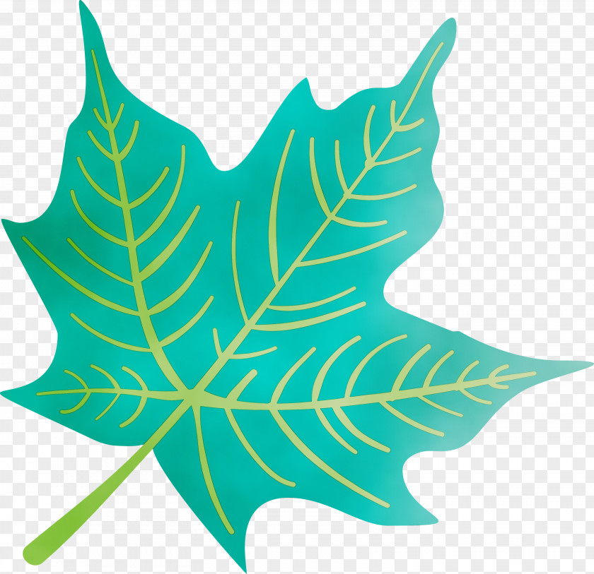 Leaf Symmetry M-tree Tree Science PNG