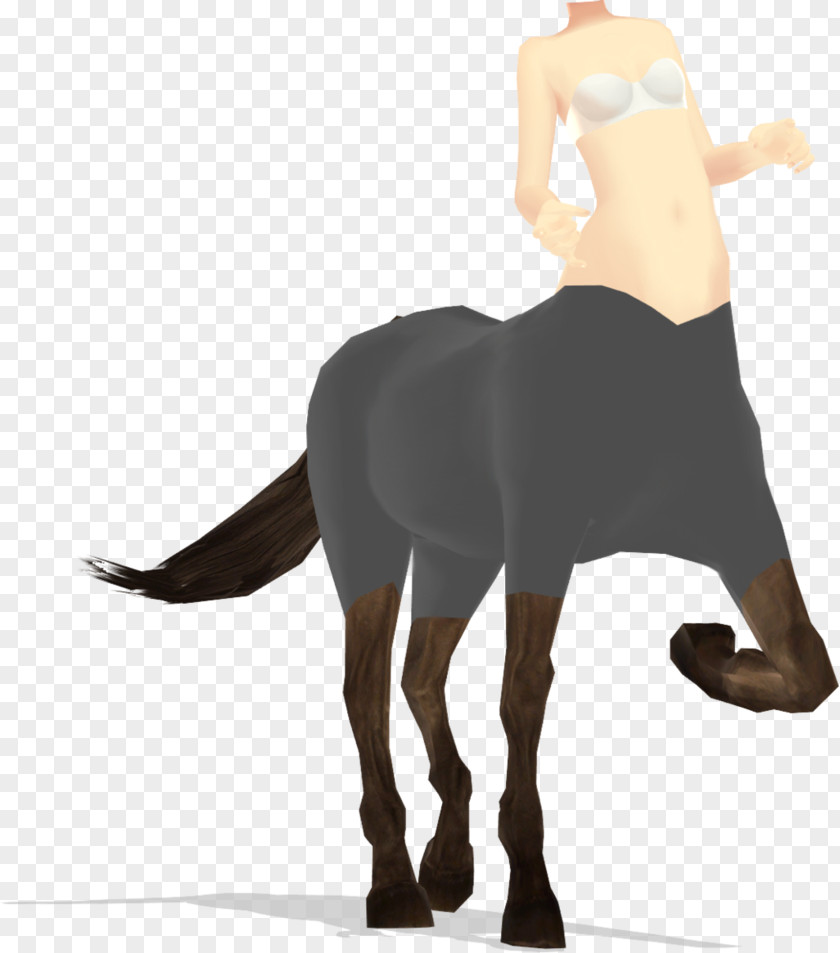 Mustang Art Character Pack Animal Pet PNG