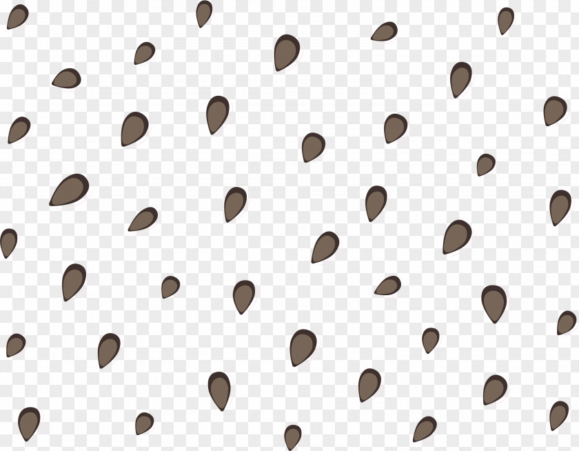 Watermelon Seeds Floating Material Line Angle Point PNG