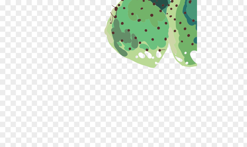 Cactus Cactaceae Green Sheet Icon PNG