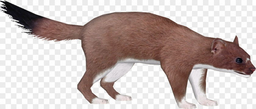 Fur Liver Animal Figure Tail Recreation Wildlife PNG