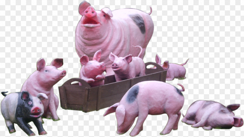 Goat Domestic Pig Animal Hogs And Pigs Horse PNG