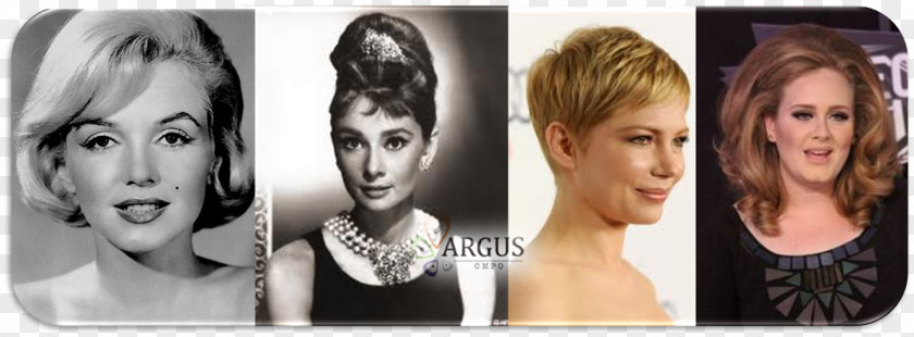 Hair Audrey Hepburn Eyebrow Coloring Breakfast At Tiffany's PNG