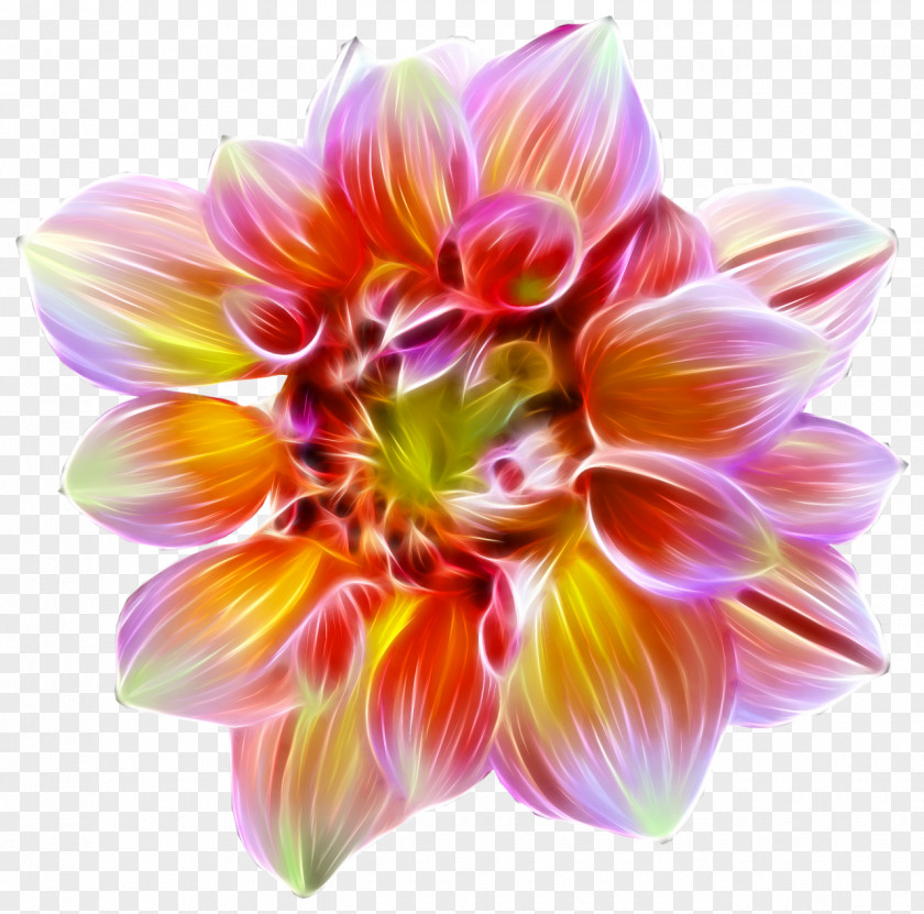 Tuning Flower Dahlia Desktop Wallpaper PNG