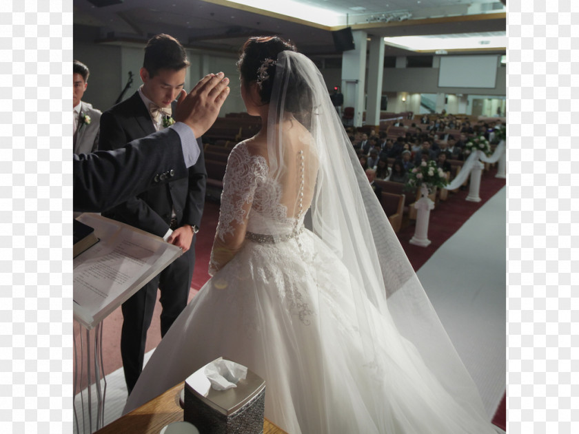 Wedding Dress Bride Veil PNG