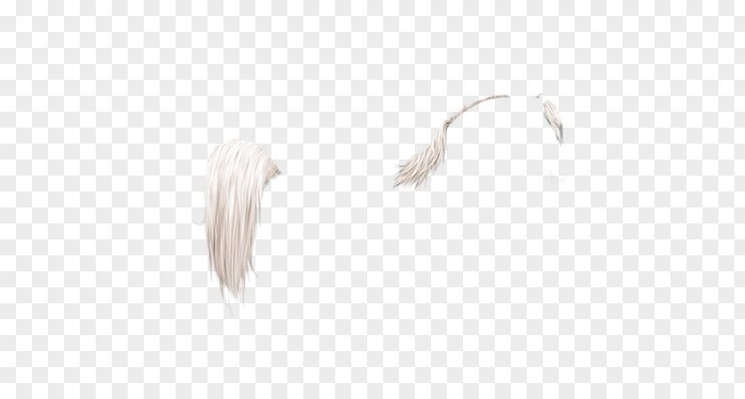 Arabian Horse White Feather Neck PNG
