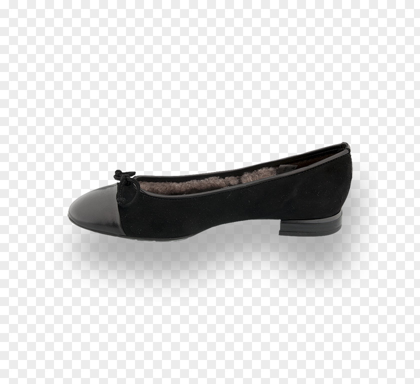 Ballet Flat Suede Shoe PNG