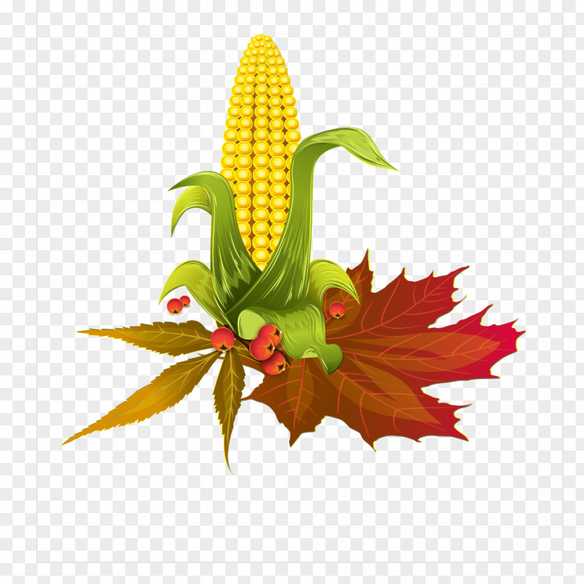 Corn Clip Art PNG
