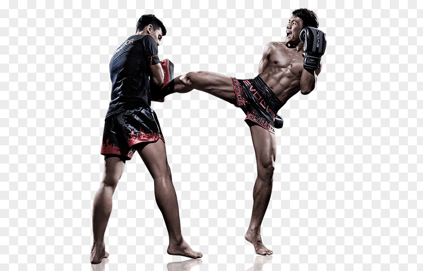 Mixed Martial Artist Kickboxing Muay Thai Combat Sport PNG