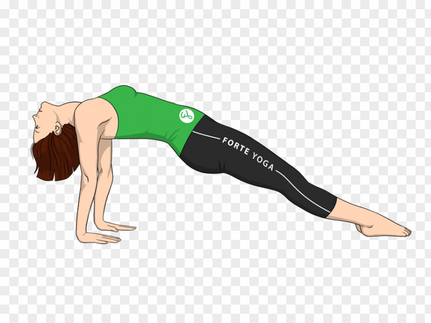 Plank Arm Yoga Purvottanasana Ardha Chandrasana PNG