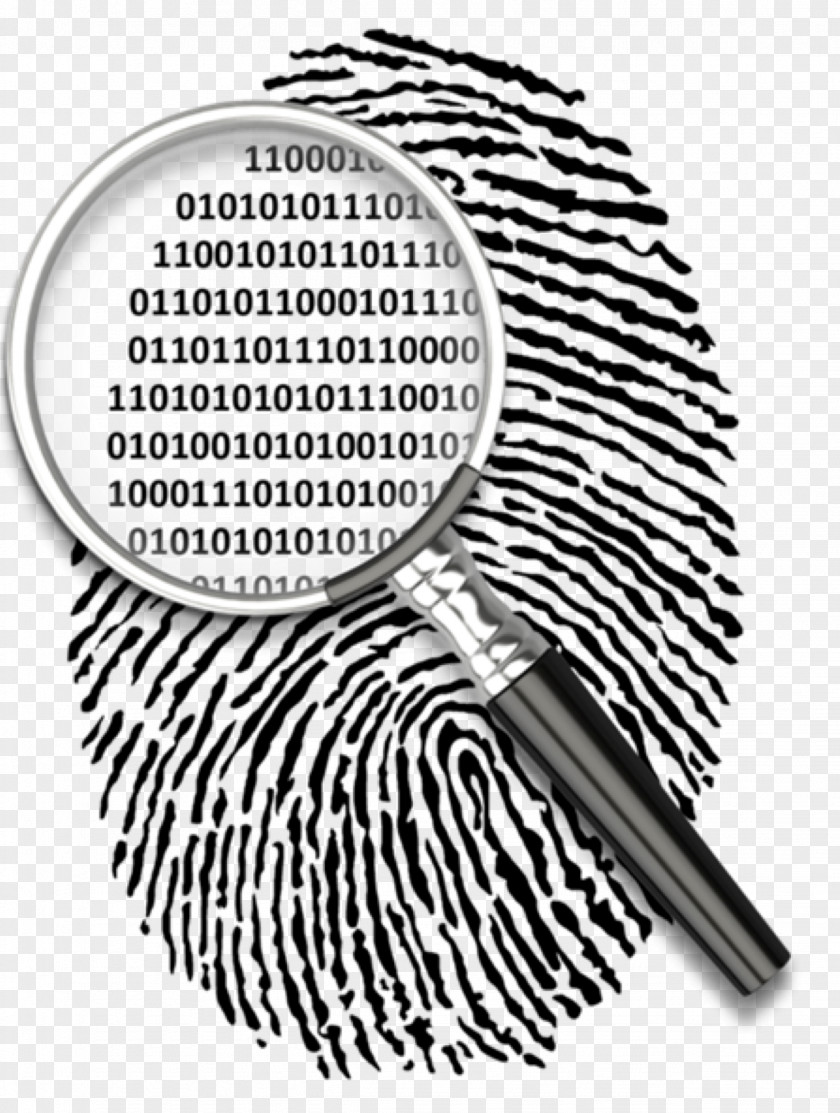Proceso Automated Fingerprint Identification Clip Art Biometrics Fingerabdruckscanner PNG