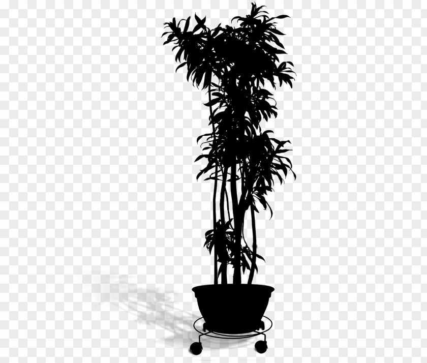 Vector Graphics Silhouette Image Plants PNG