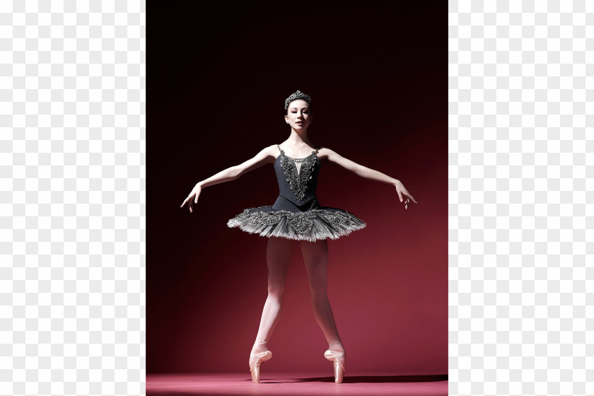 Ballerina American Ballet Theatre School Tutu Dancer PNG