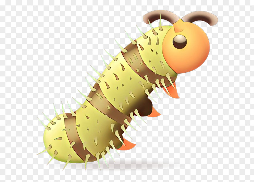 Caterpillar Larva Insect Cartoon Moths And Butterflies PNG