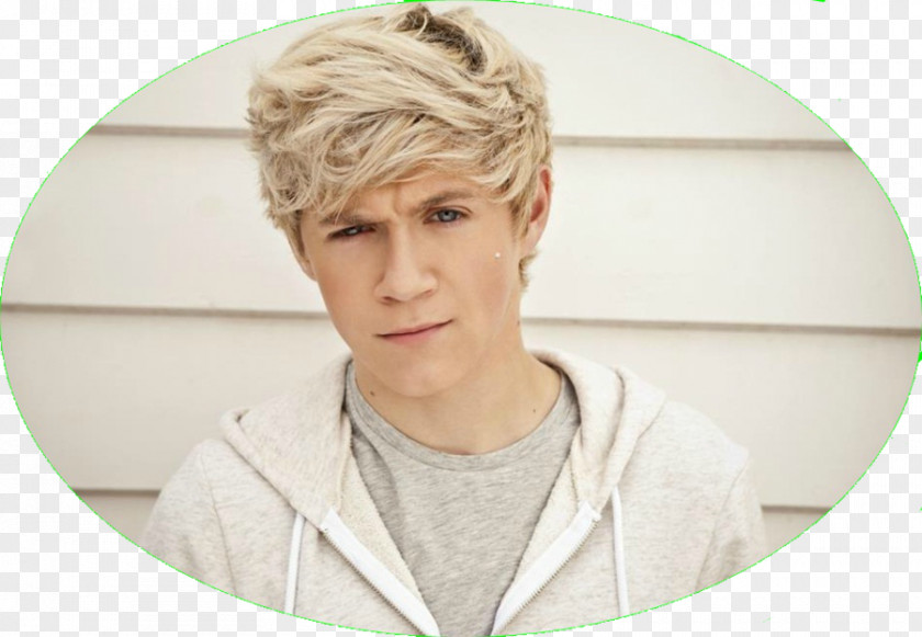 Circulo Niall Horan One Direction The X Factor Musician Guitarist PNG