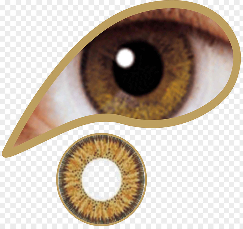 Eye Contact Lenses Aqua Blue Limbal Ring PNG