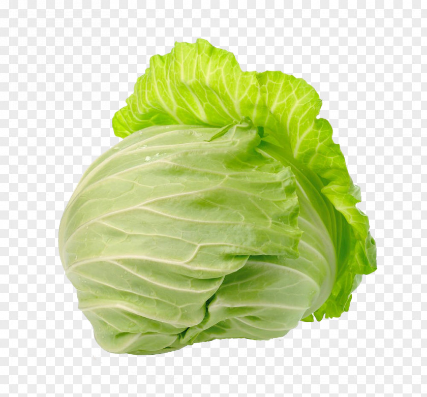 HD Flat Cabbage Image Savoy Photography PNG