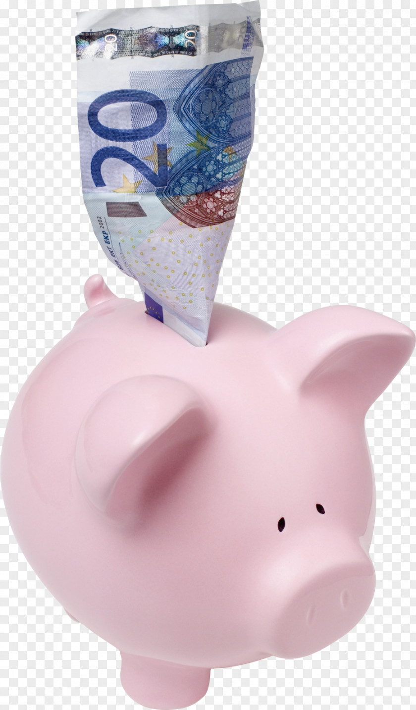 Piggy Bank Money Paper Coin Domestic Pig PNG