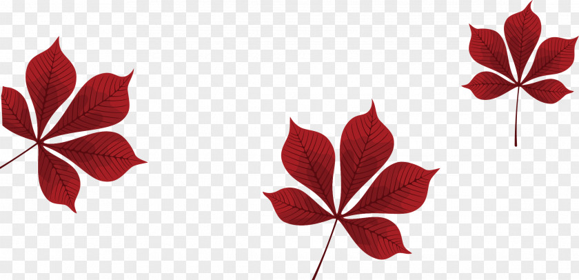 Red Leaves Vector Petal Leaf Pattern PNG