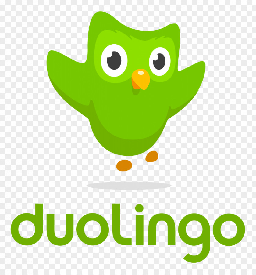 Snap Chat Logo Duolingo Learning Mobile App Foreign Language Clip Art PNG