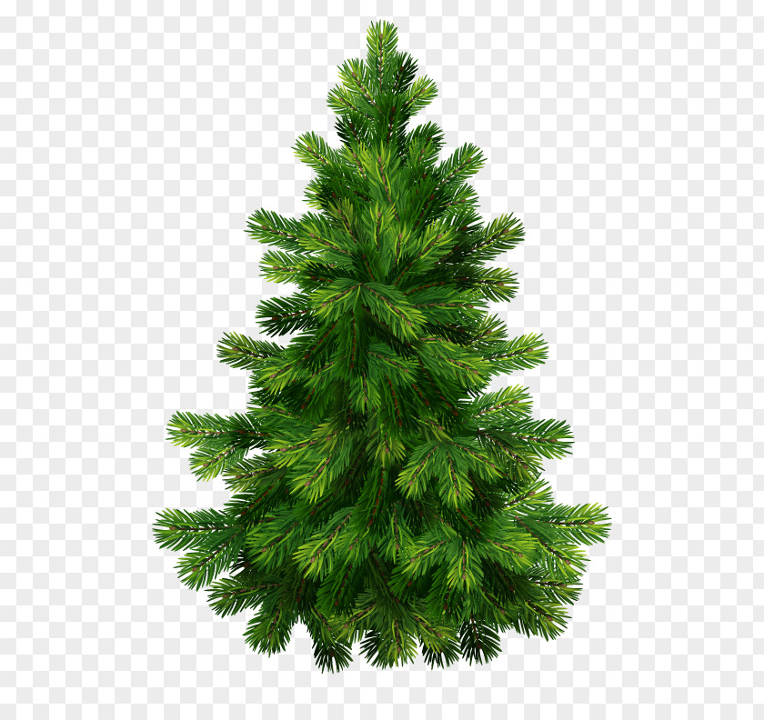 Christmas Tree Vector Graphics Fir Day Royalty-free PNG