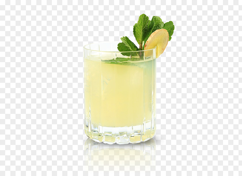 Cocktail Mint Julep Garnish Mai Tai Sea Breeze Limeade PNG